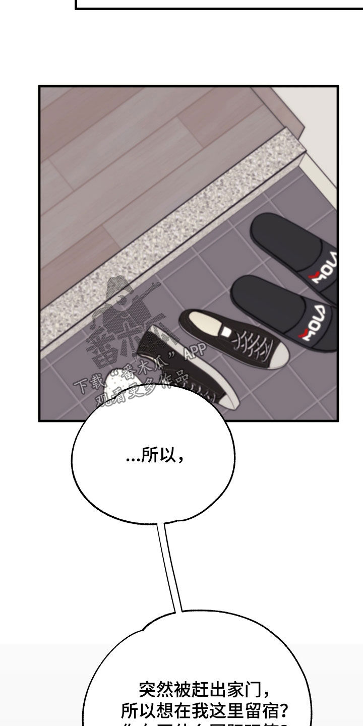 第10章：收留7