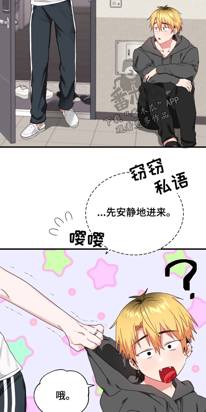 第10章：收留5