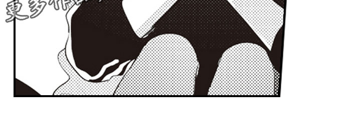 第29章：收藏物品19