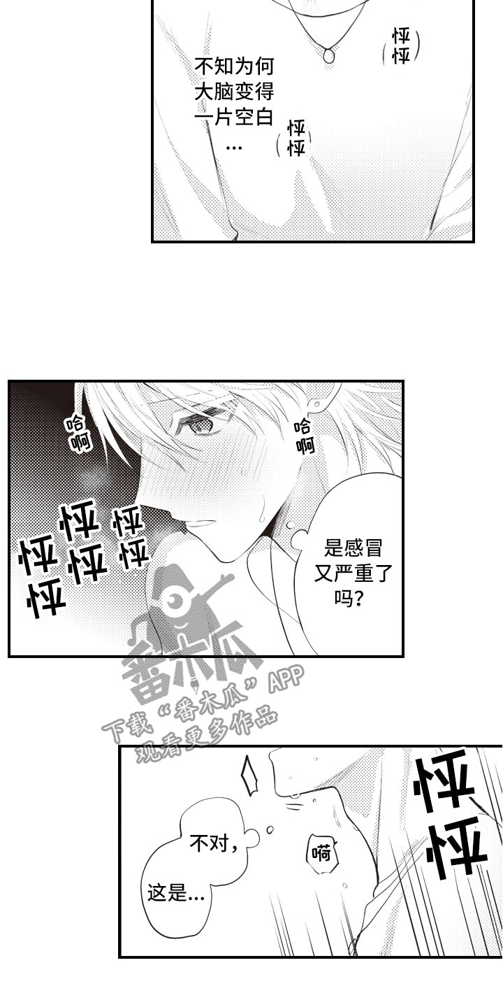 第17章：不是为了我12
