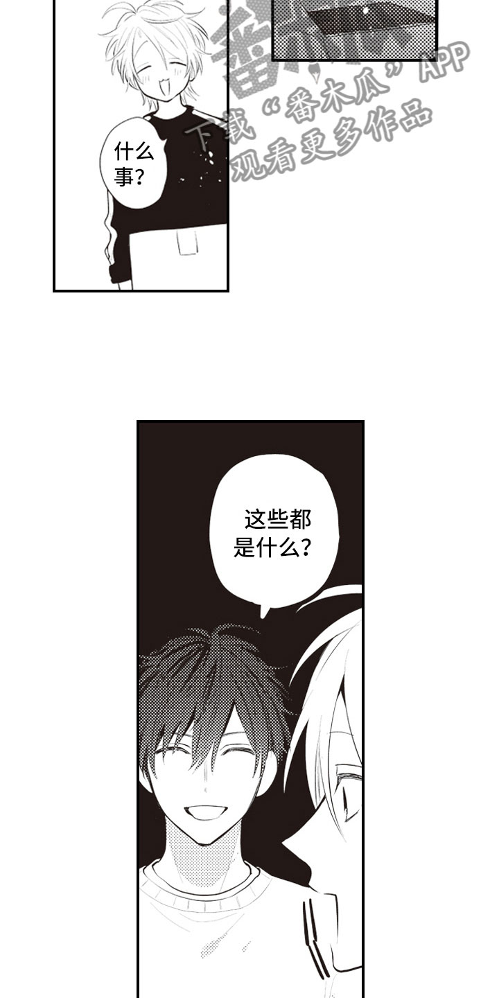 第29章：收藏物品14
