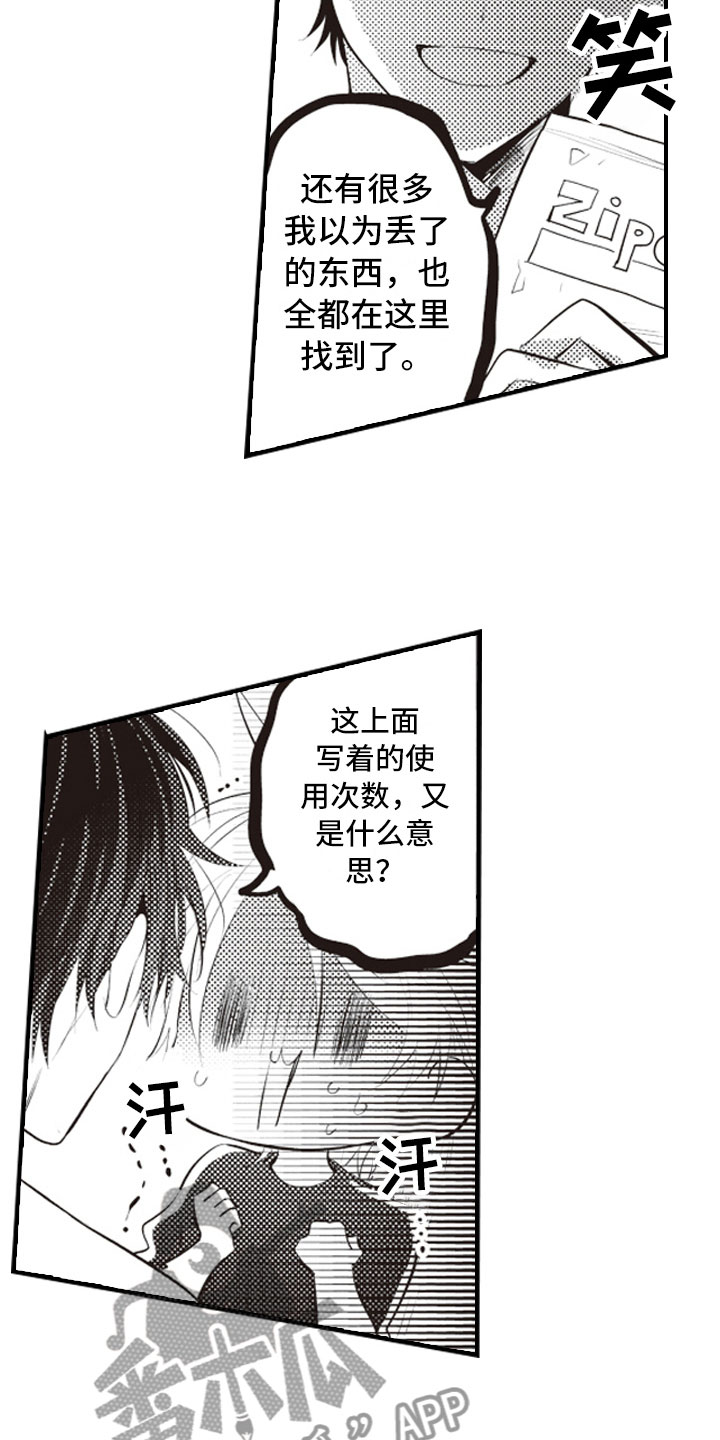 第29章：收藏物品16