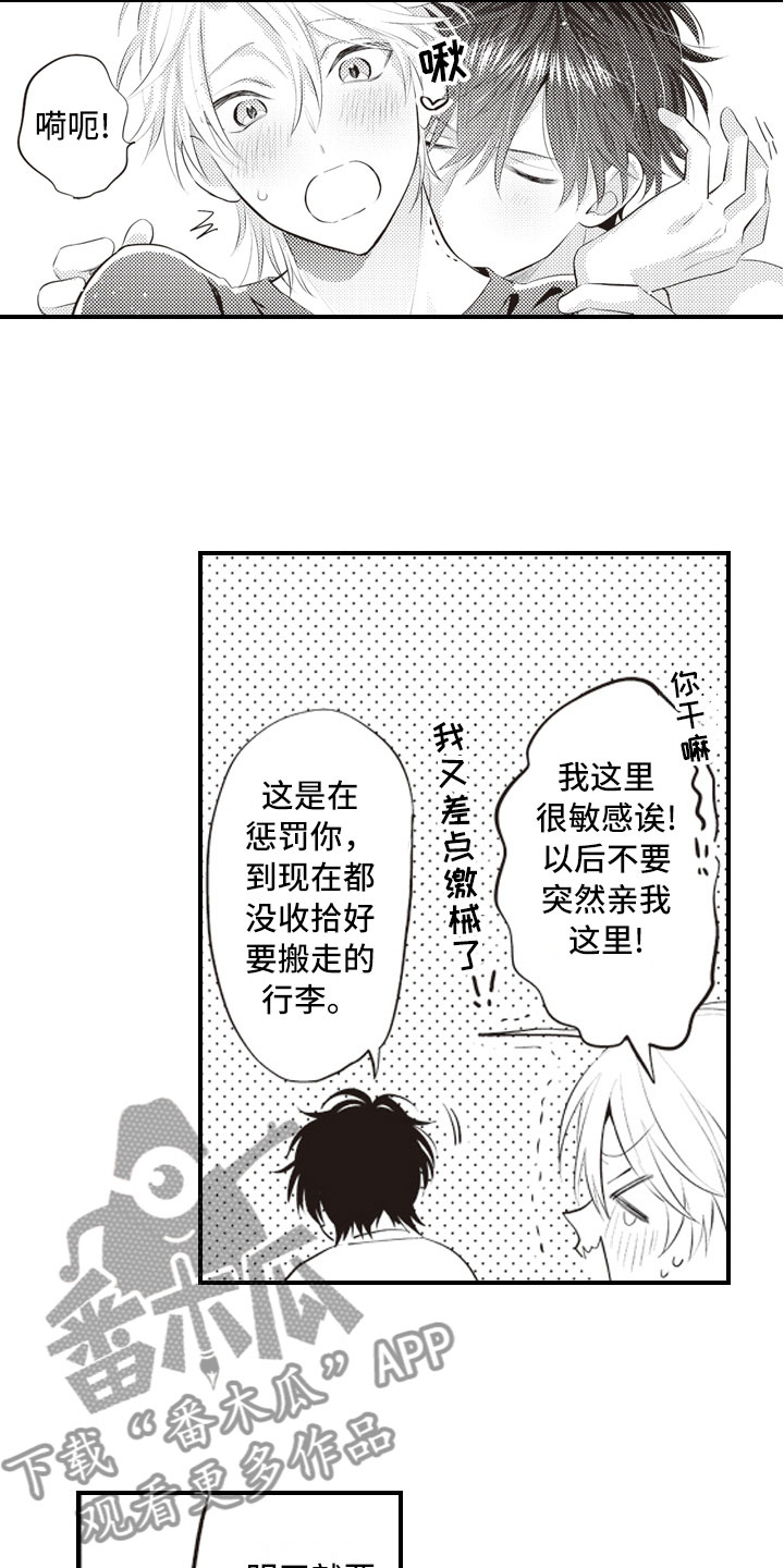 第29章：收藏物品10