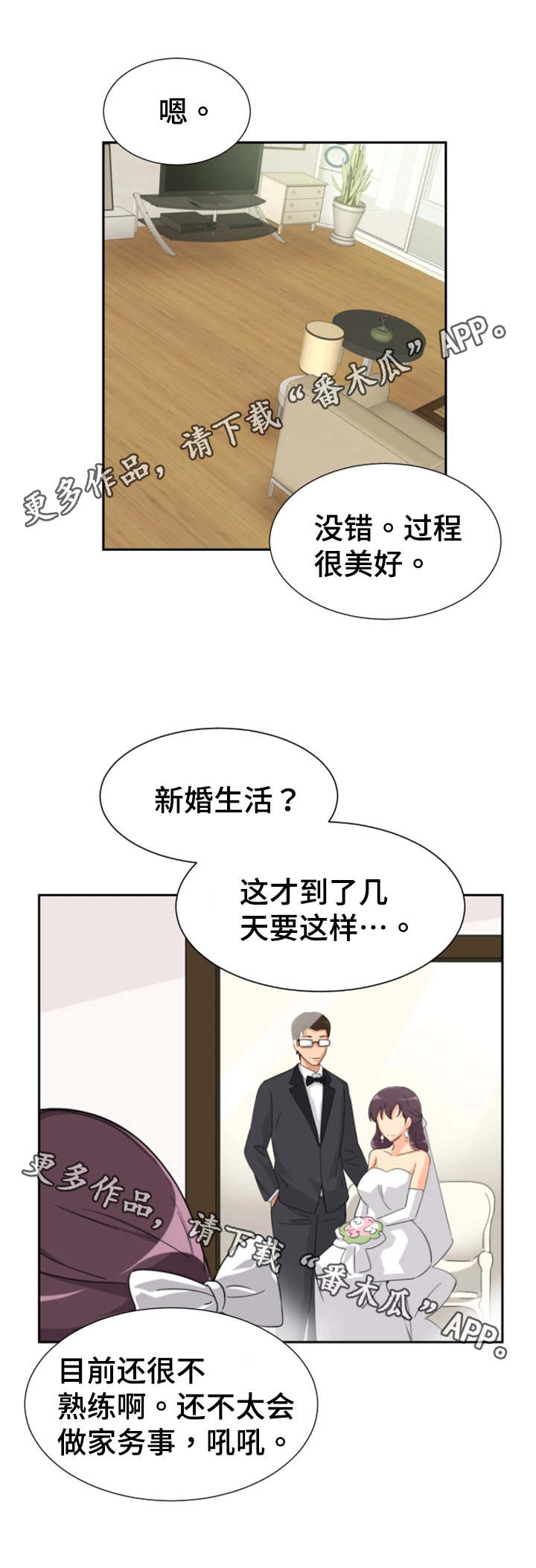 第27章：新婚生活7
