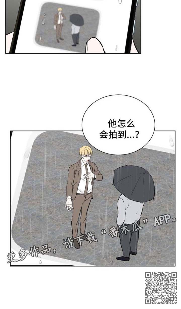 第46章：照片6