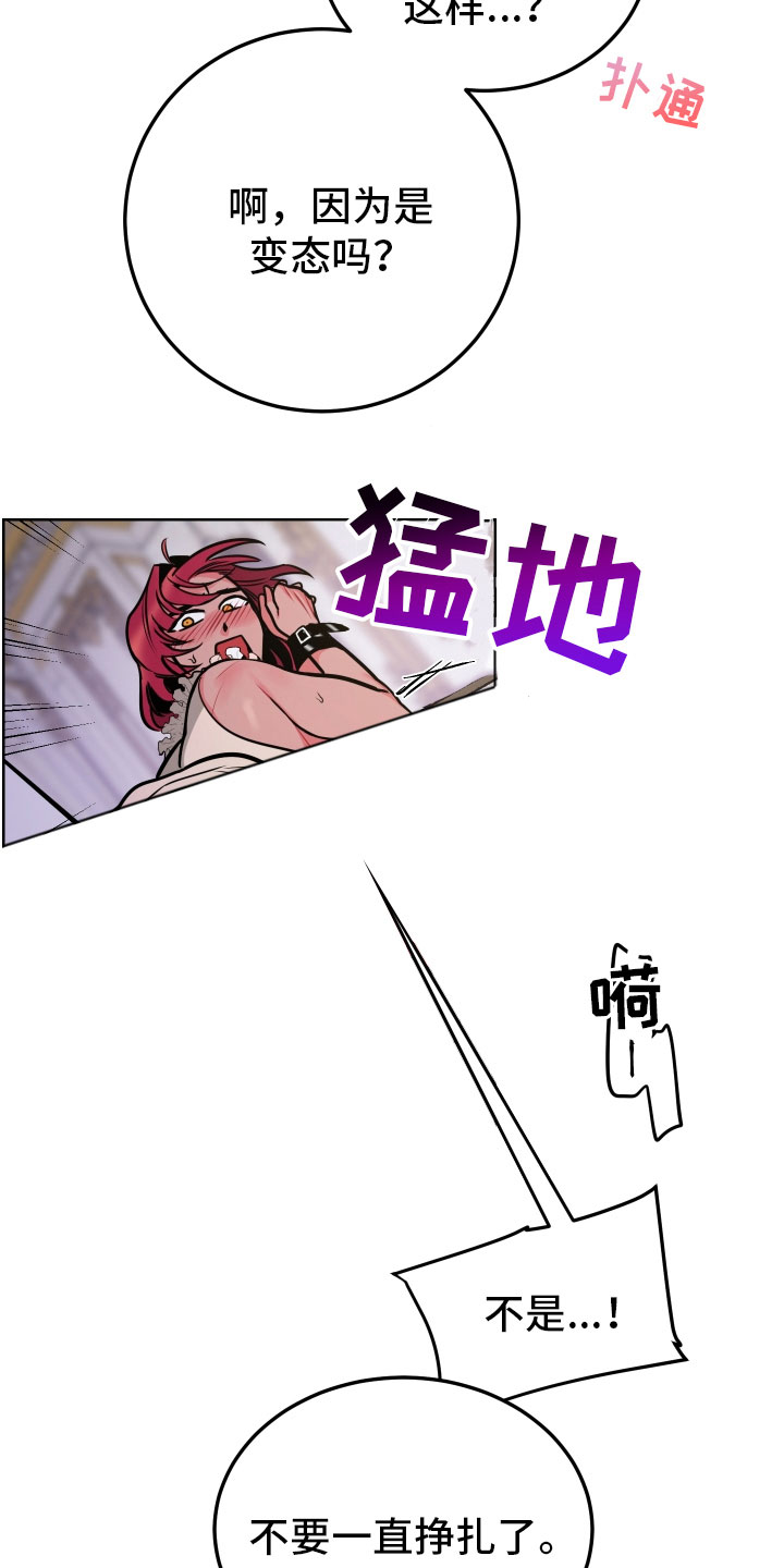 第8章：愿望13
