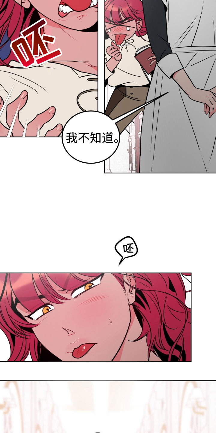第1章：不可爱的玛丽13