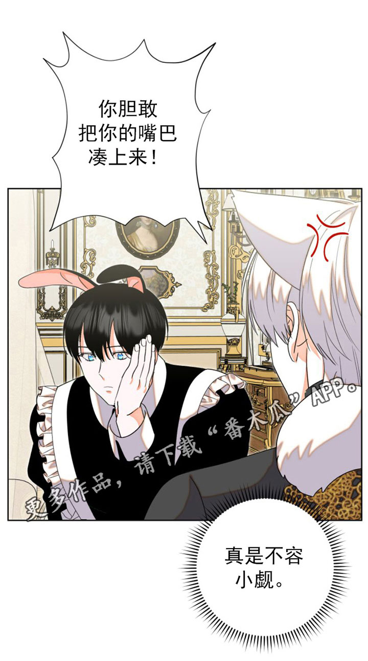 第6章：包扎17