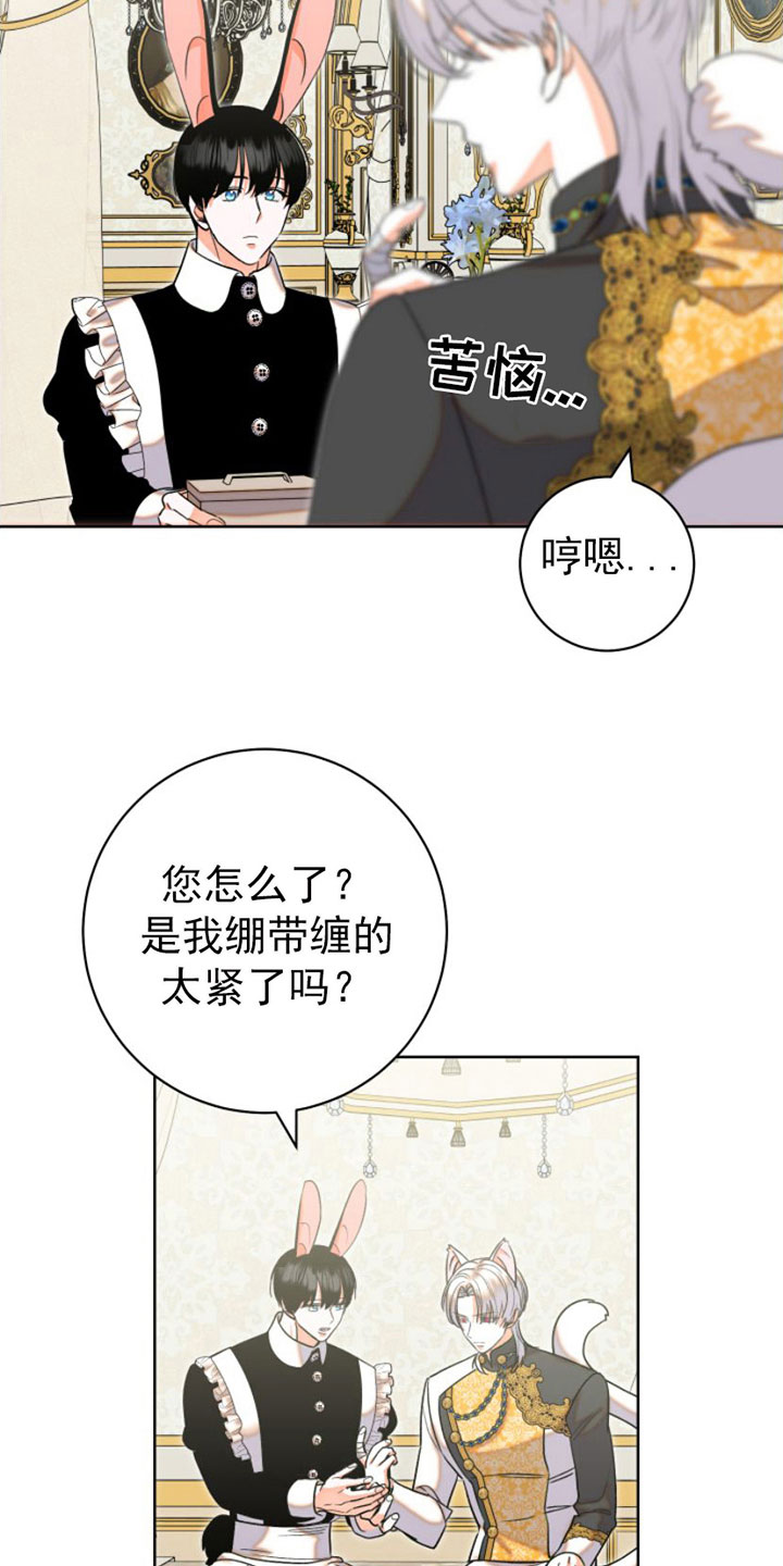 第6章：包扎11