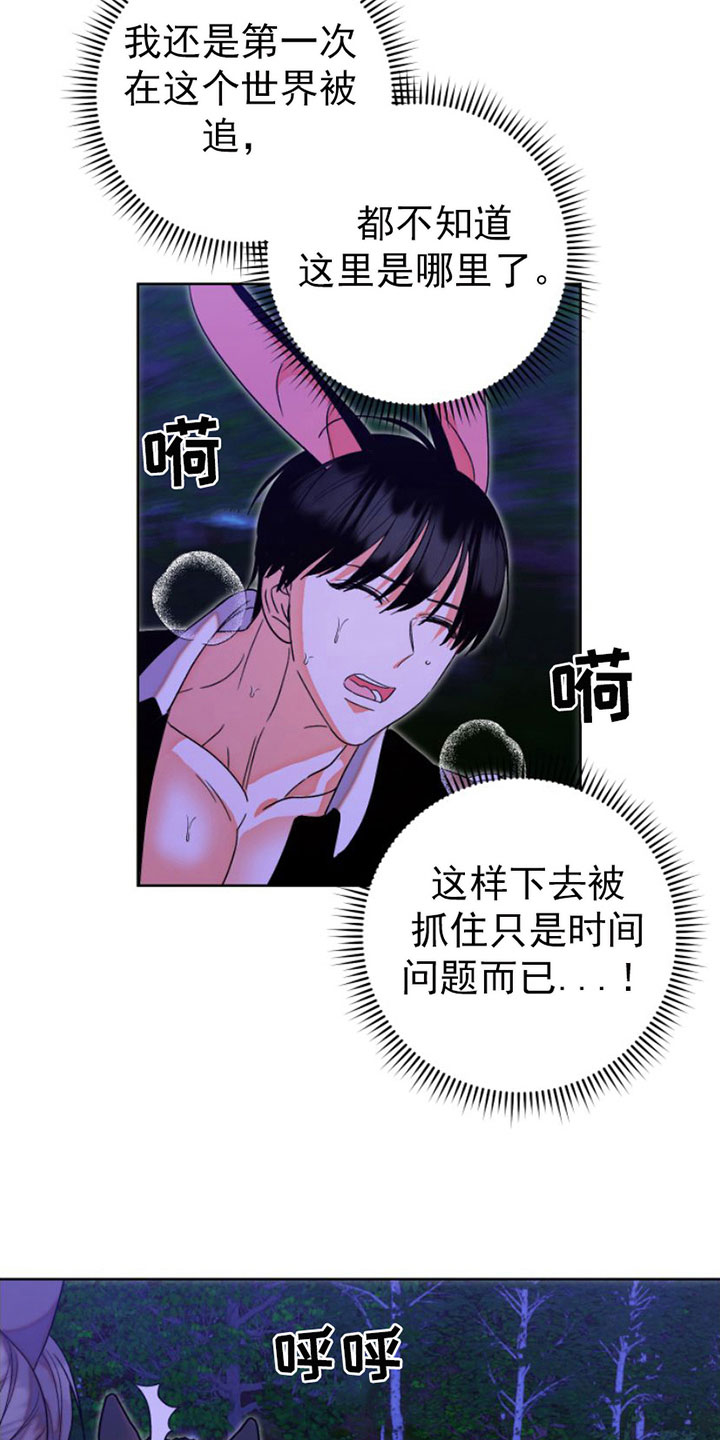 第11章：缰绳依旧【完结】5