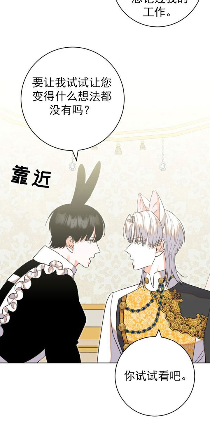第6章：包扎14