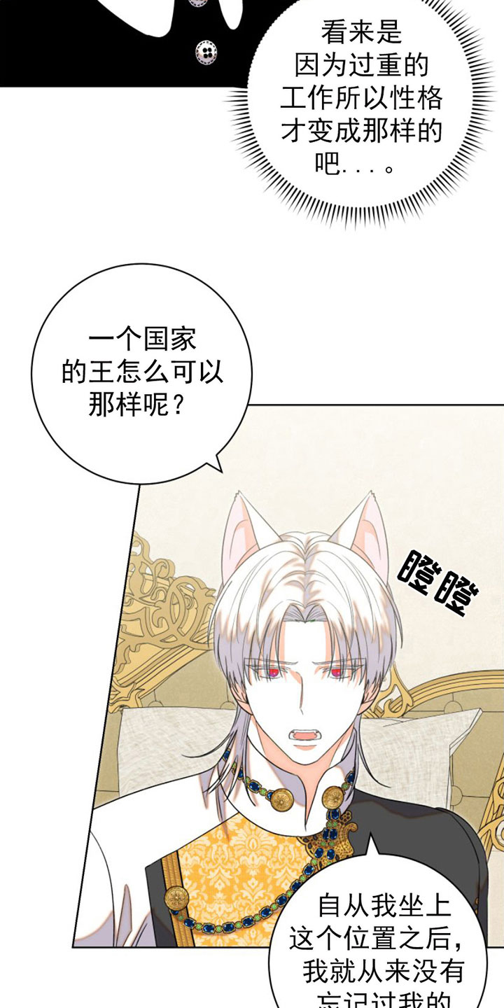第6章：包扎13