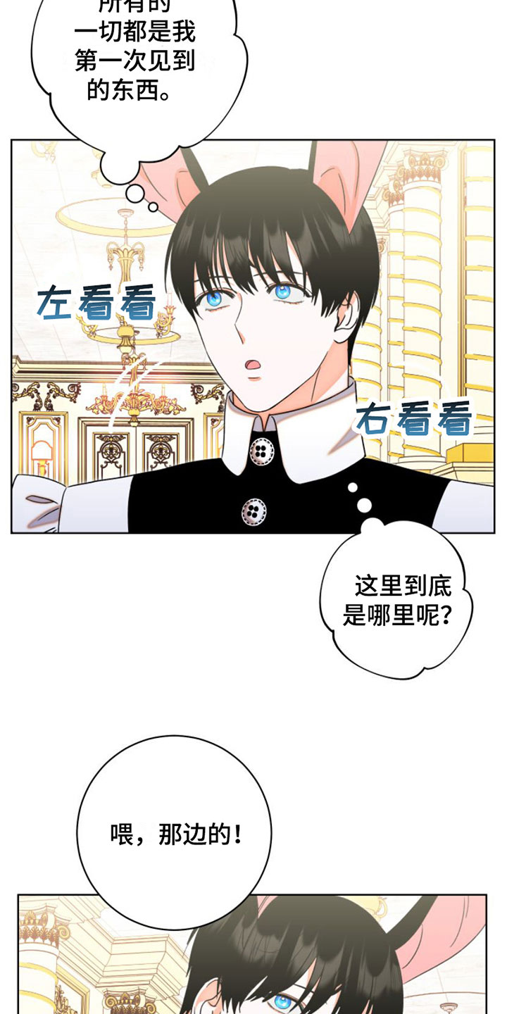 第2章：阻止6
