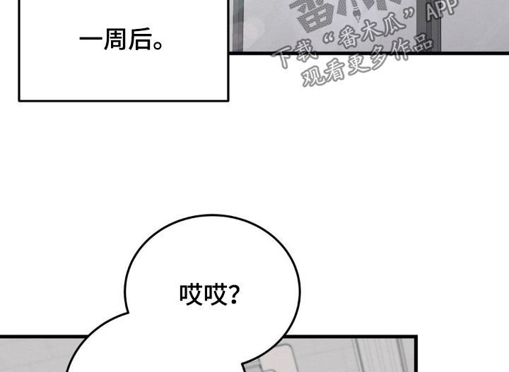 第17章：纠缠22