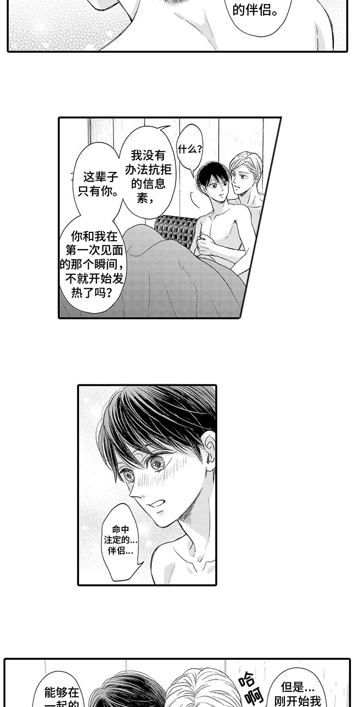第24章：伴侣（完结）10