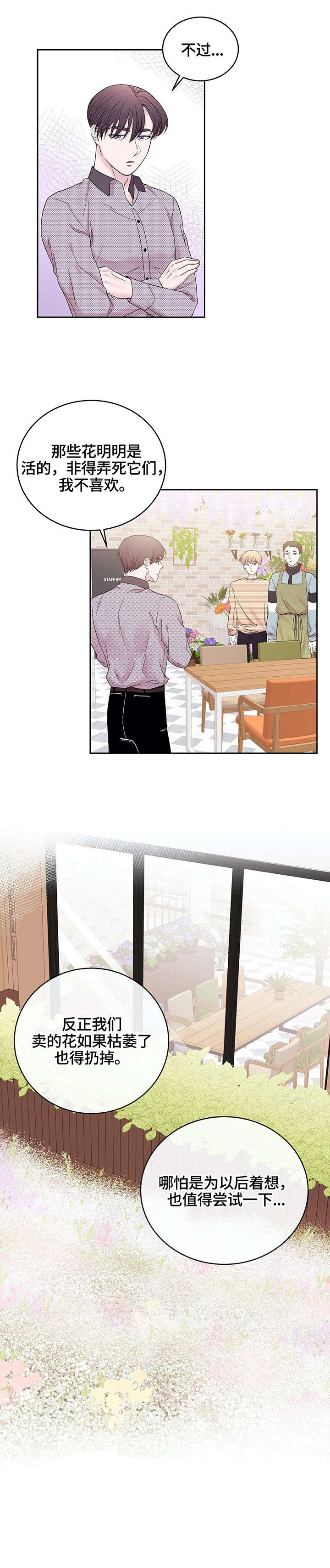 第23章：干花6