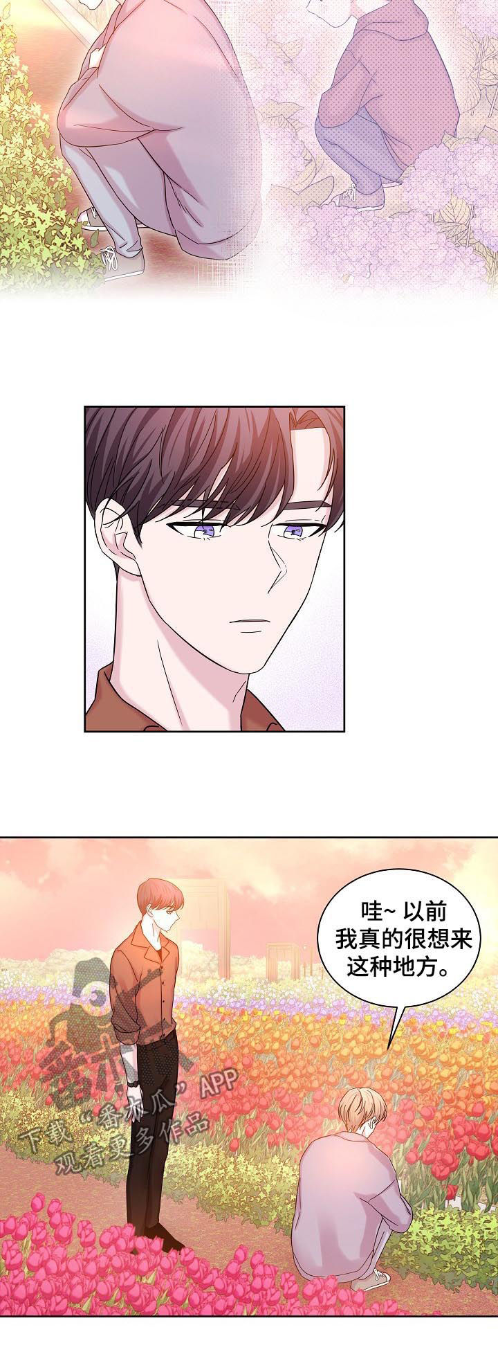 第62章：花海4