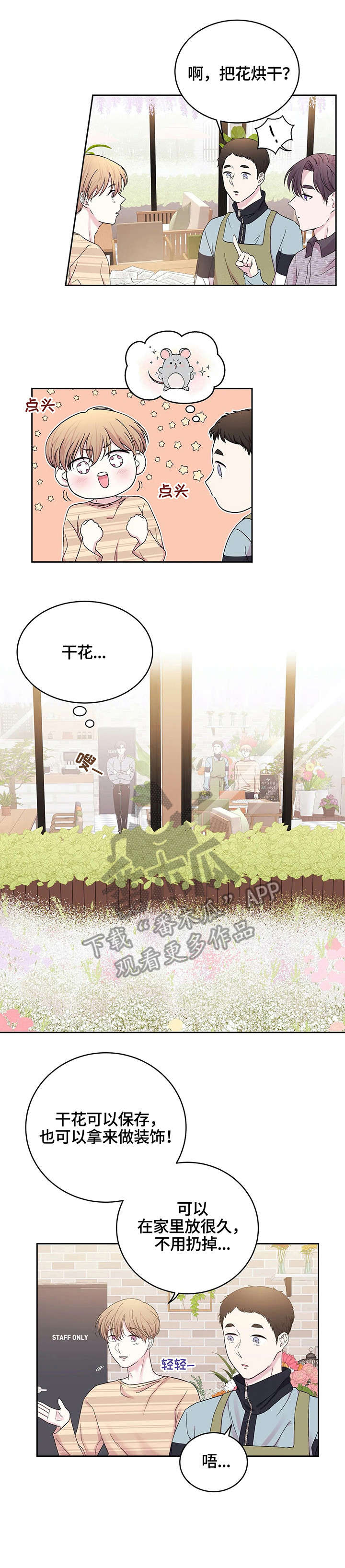 第23章：干花5