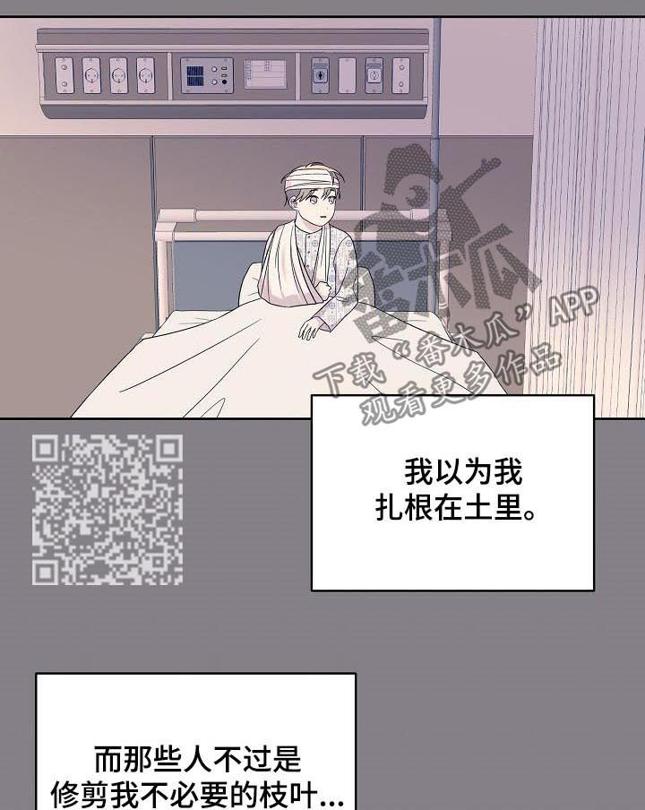 第50章：成熟一点5