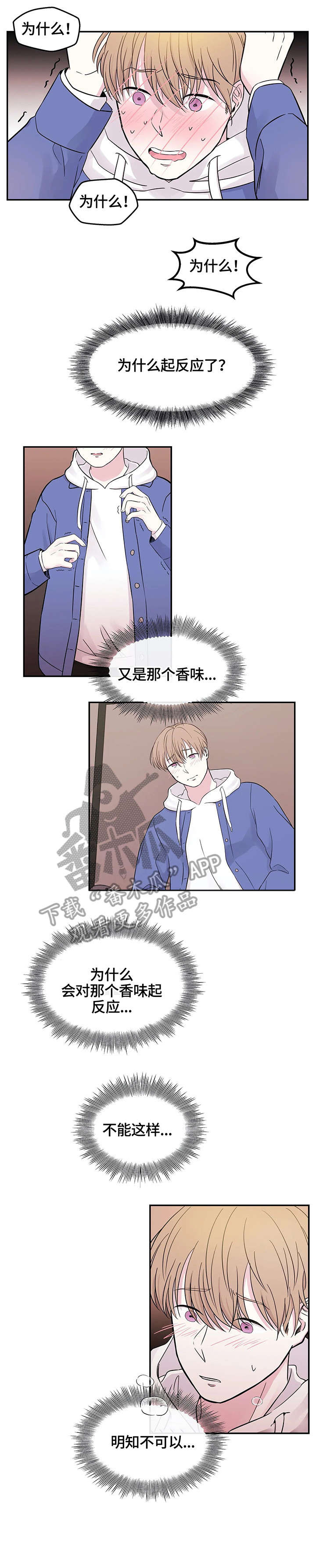 第7章：香气7