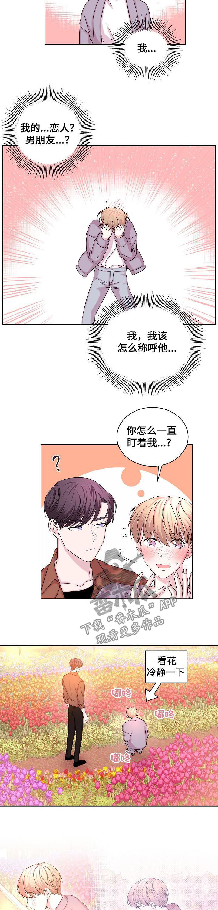 第62章：花海3
