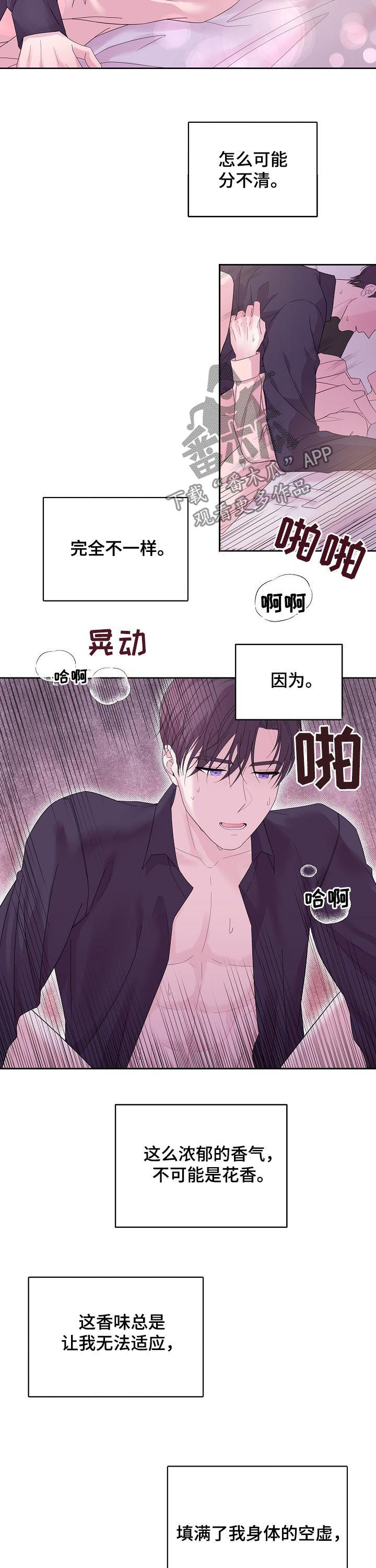 第45章：不是花香6