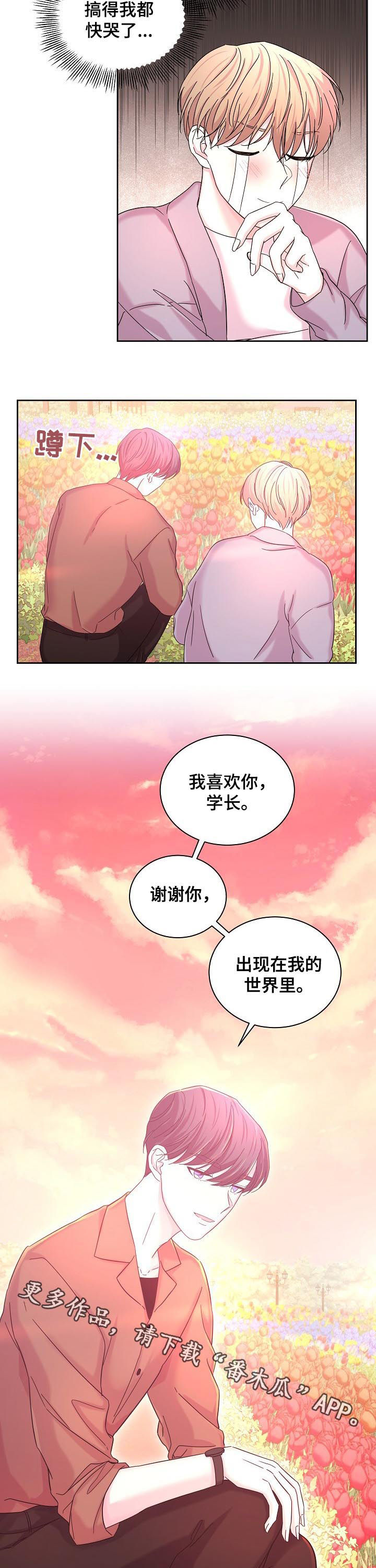 第62章：花海9