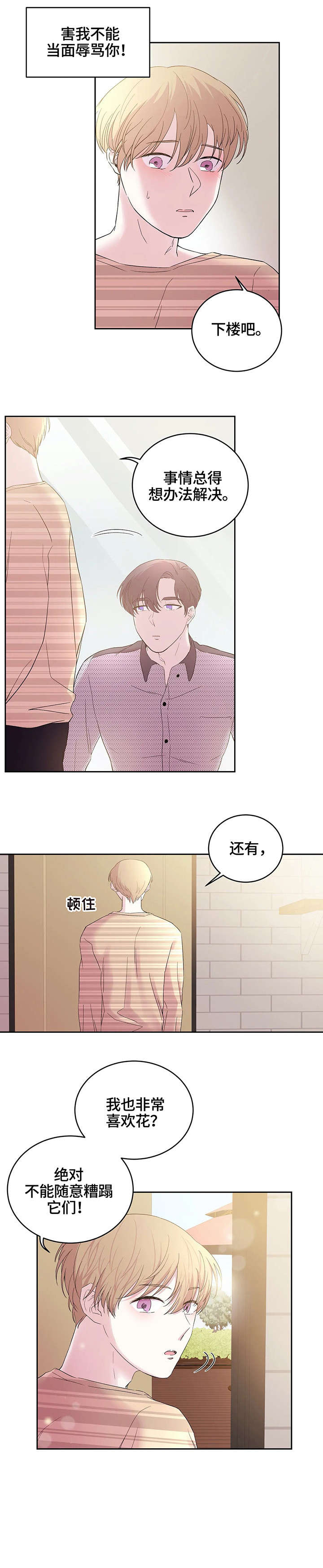 第22章：满天星5