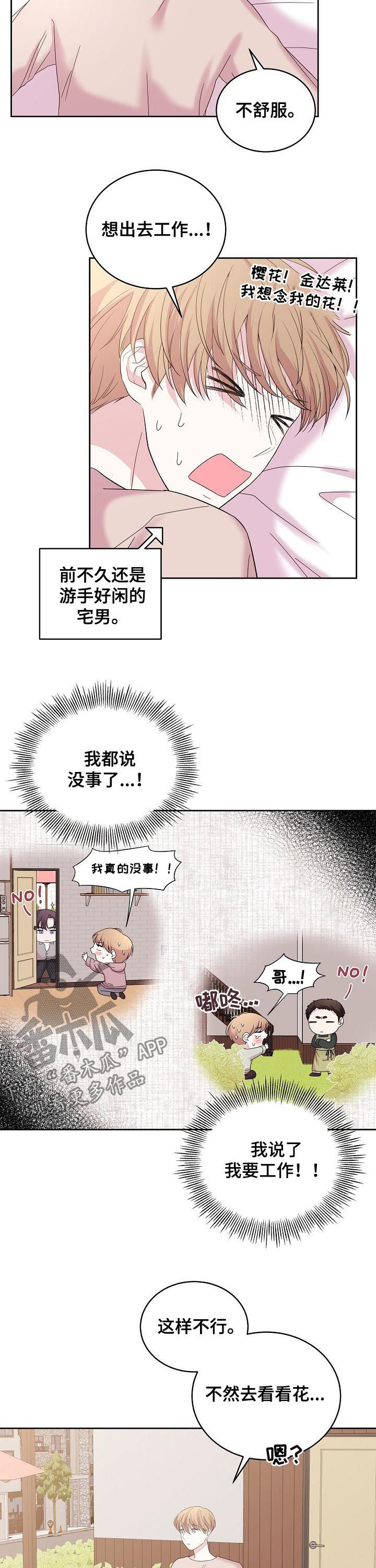 第41章：什么情况11