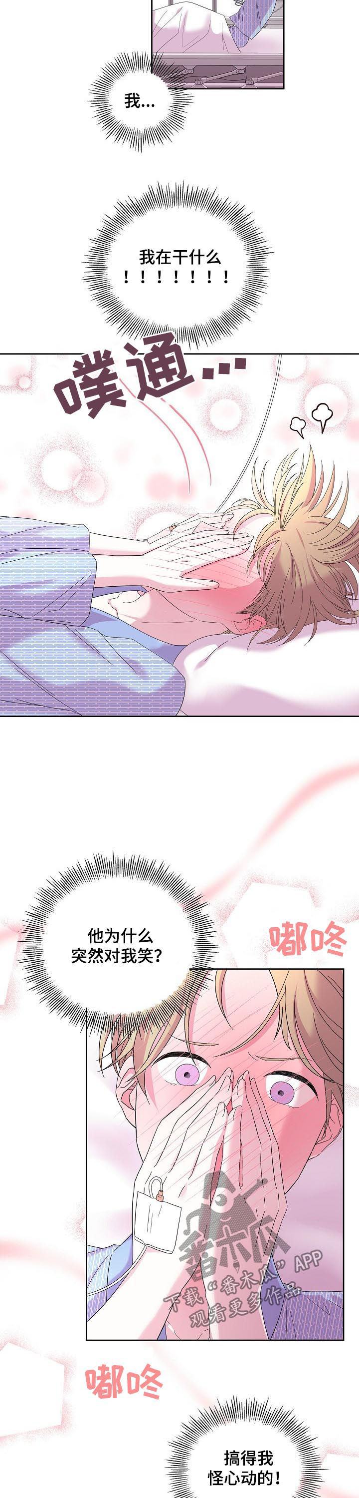 第41章：什么情况4