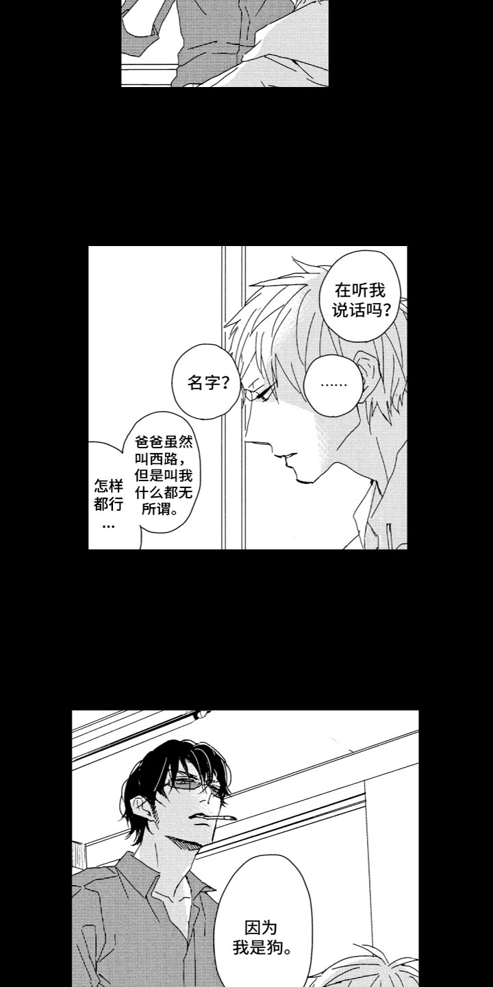 第11章：曾经13