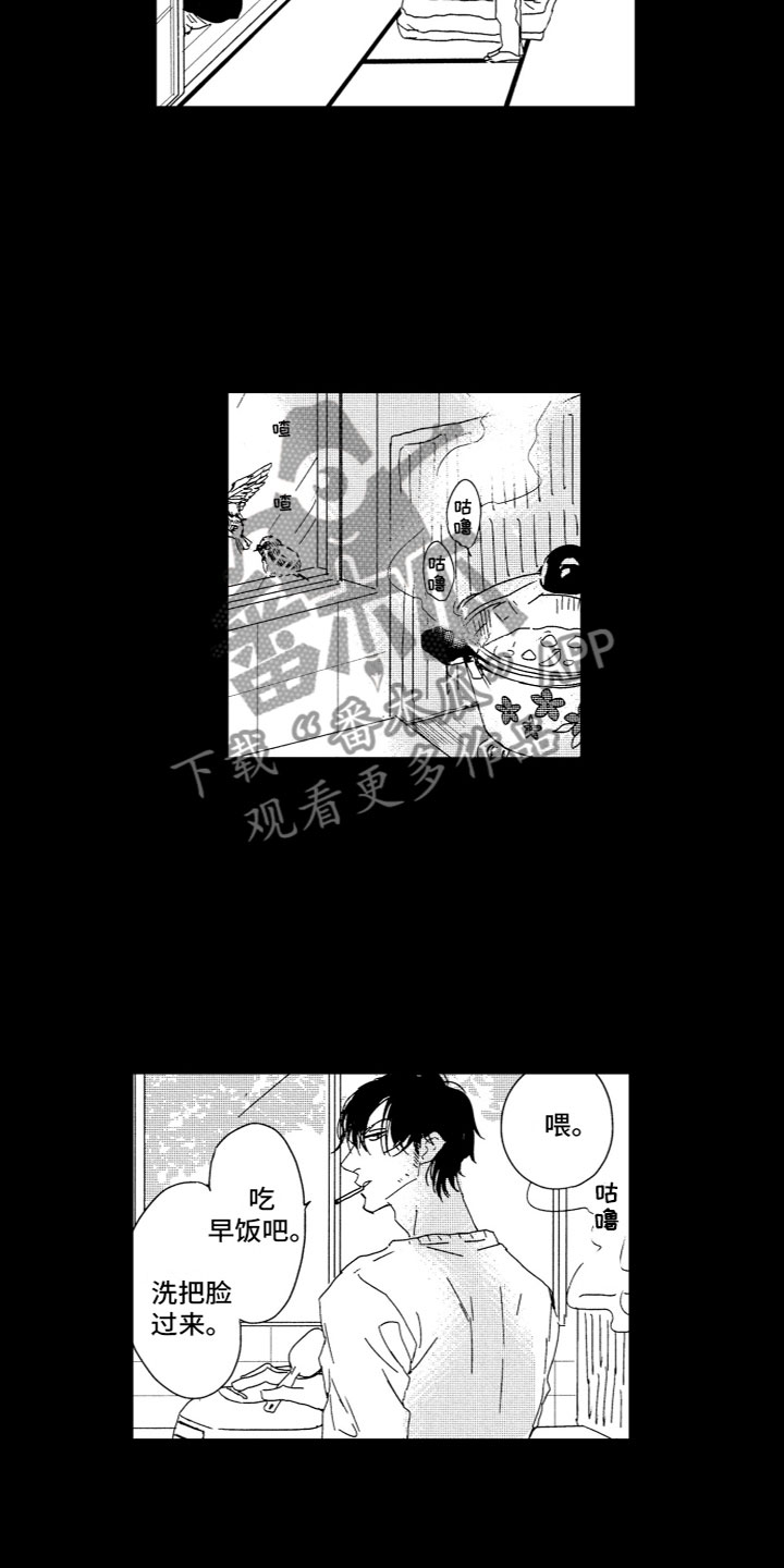 第12章：收留11