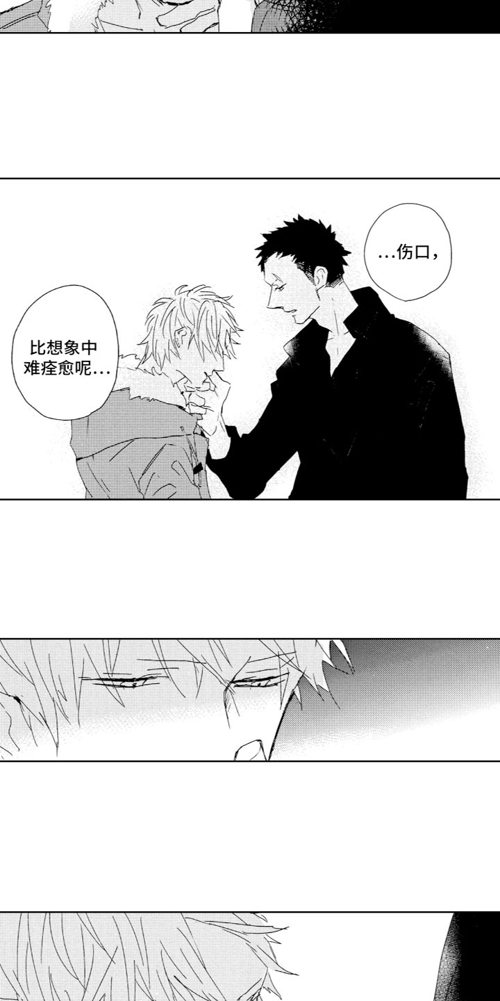 第8章：心动12