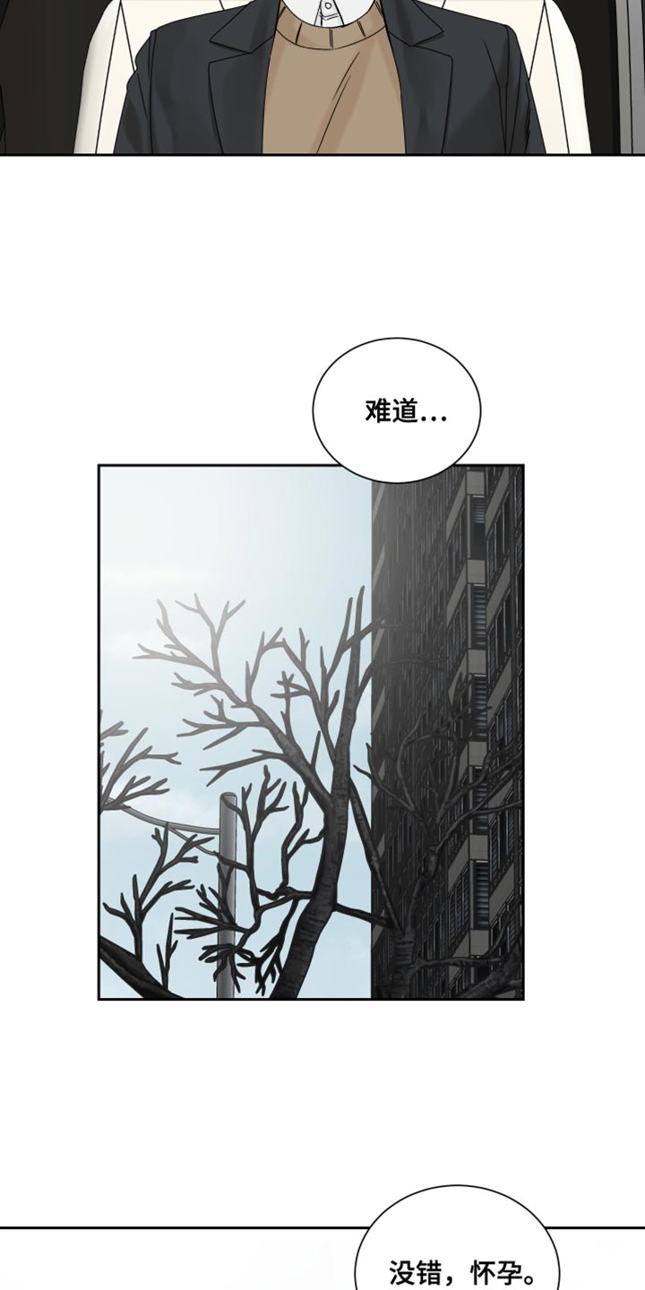 第117章：【番外】怀孕9
