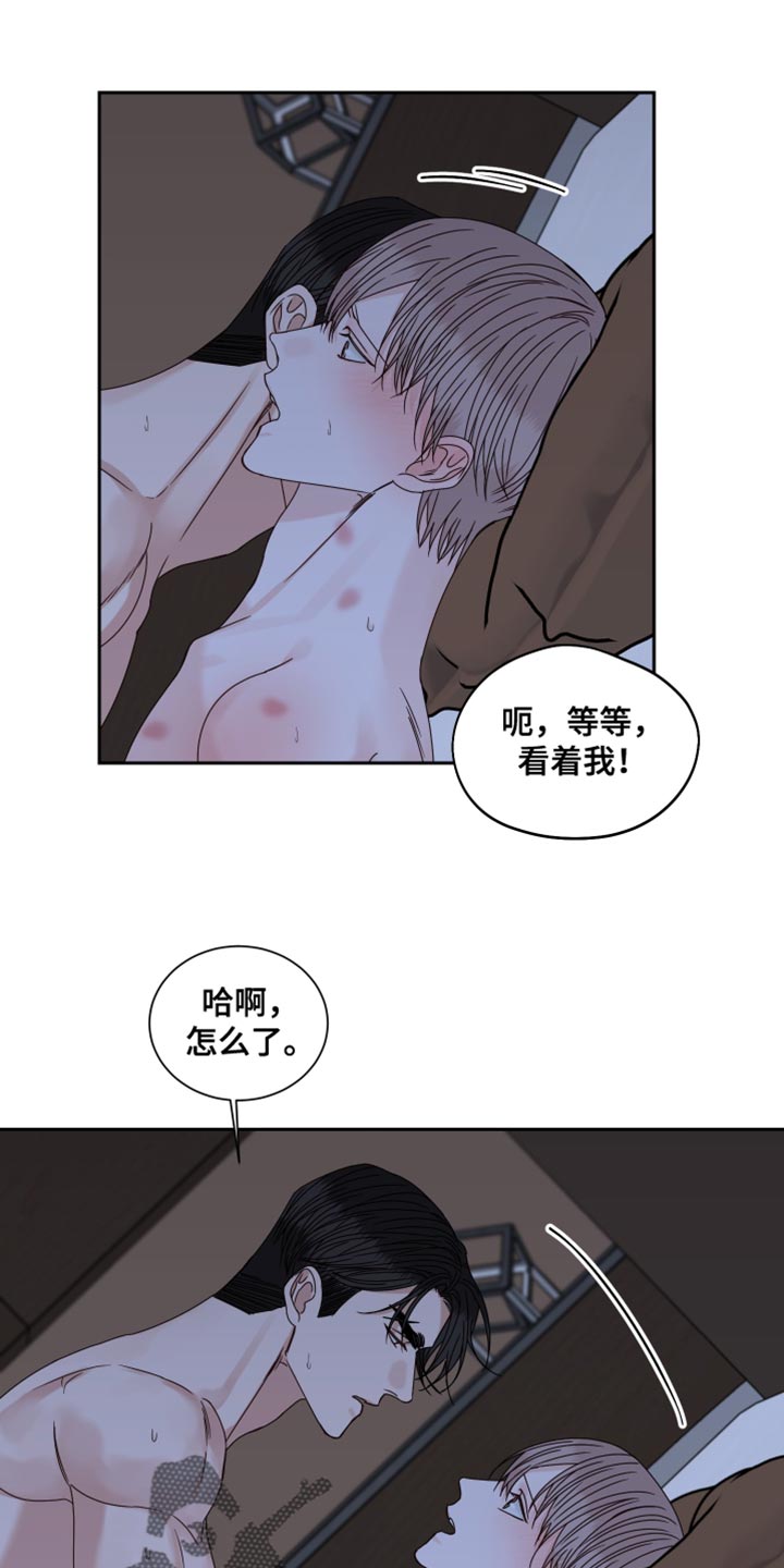 第115章：【番外】奇怪的信息素13