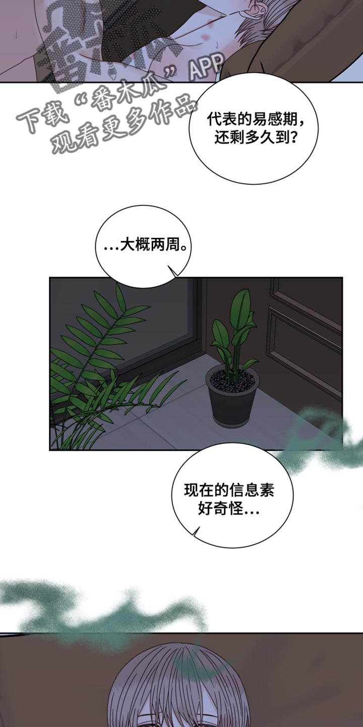 第115章：【番外】奇怪的信息素14