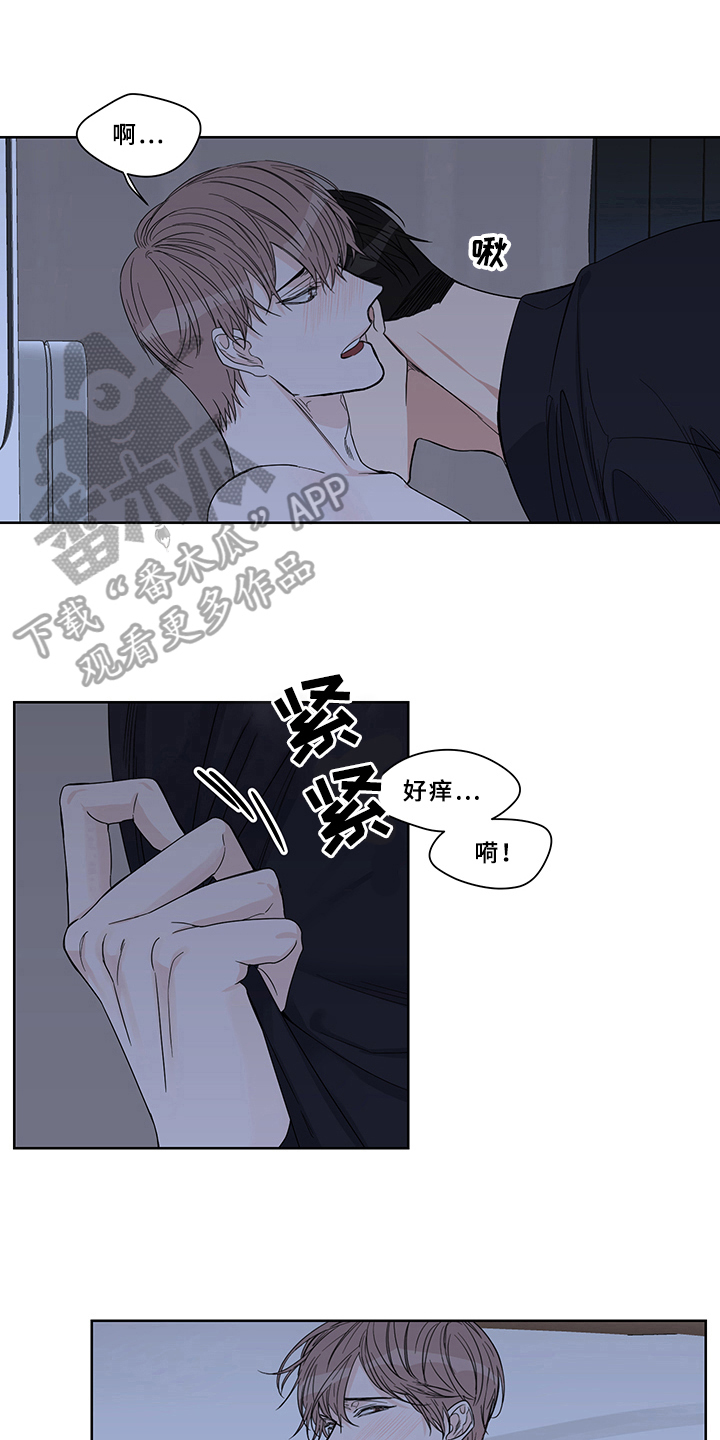 第13章：坚持2