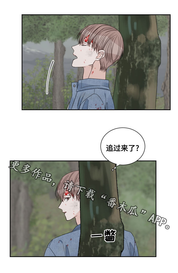 第71章：【第二季】逃跑15