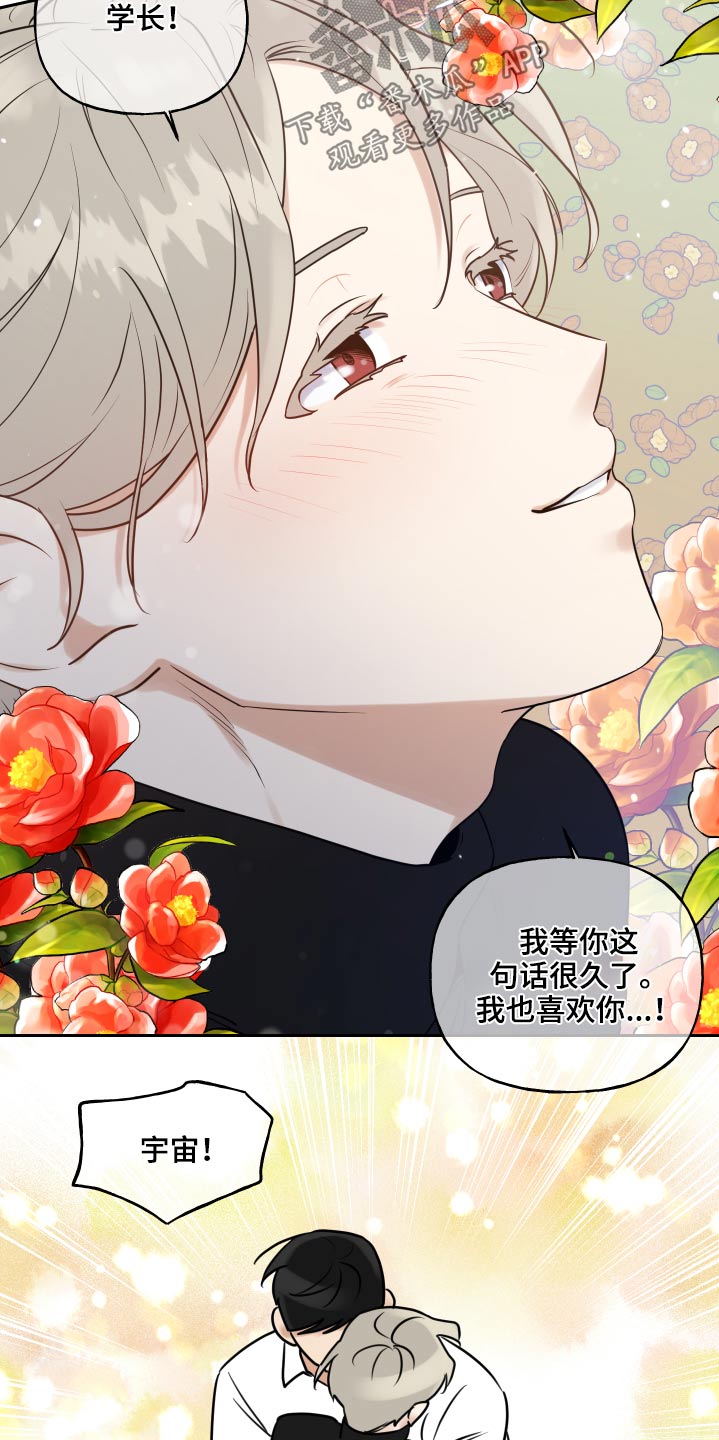 第87章：幻想18