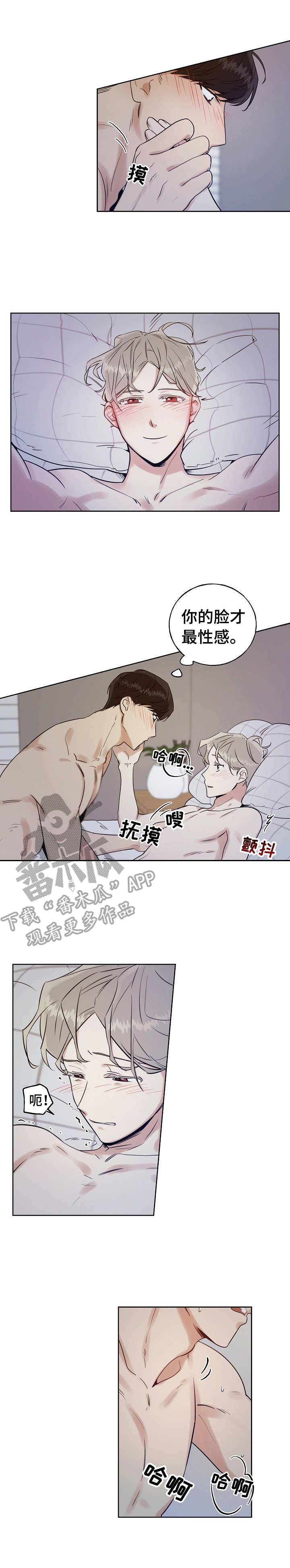 第14章：正常流程8