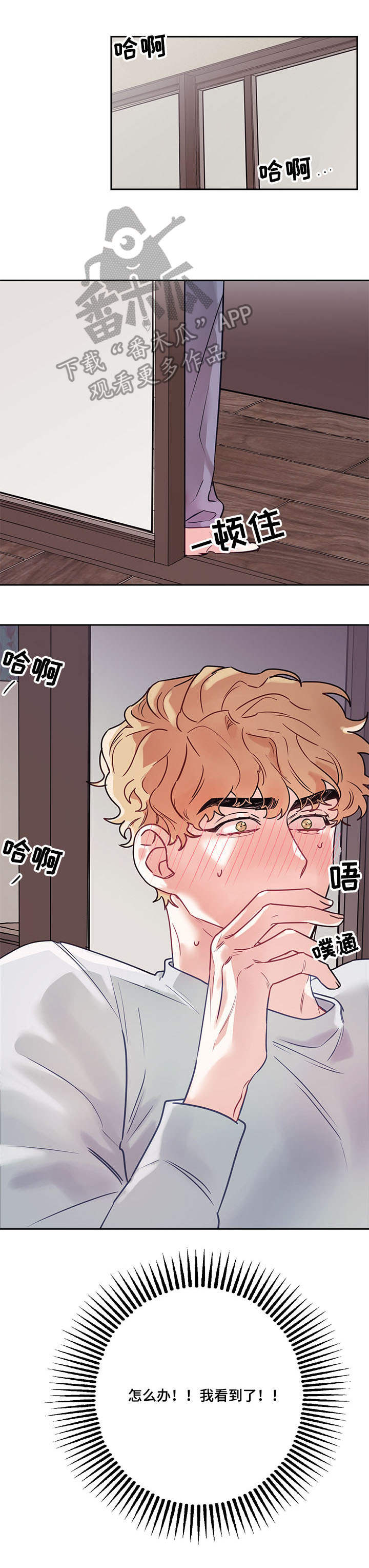 第11章：偷看10