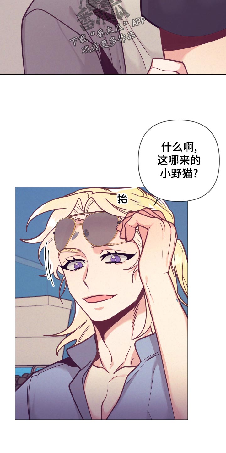 第122章：小野猫6