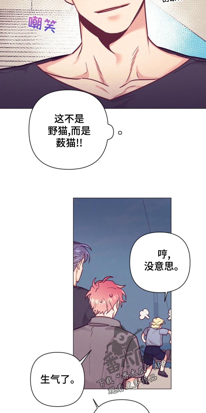 第122章：小野猫19