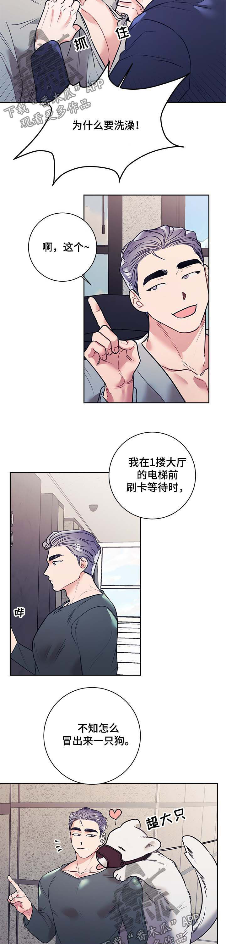 第21章：公主8