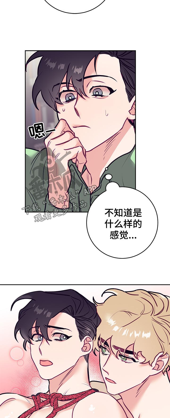 第37章：爱好14