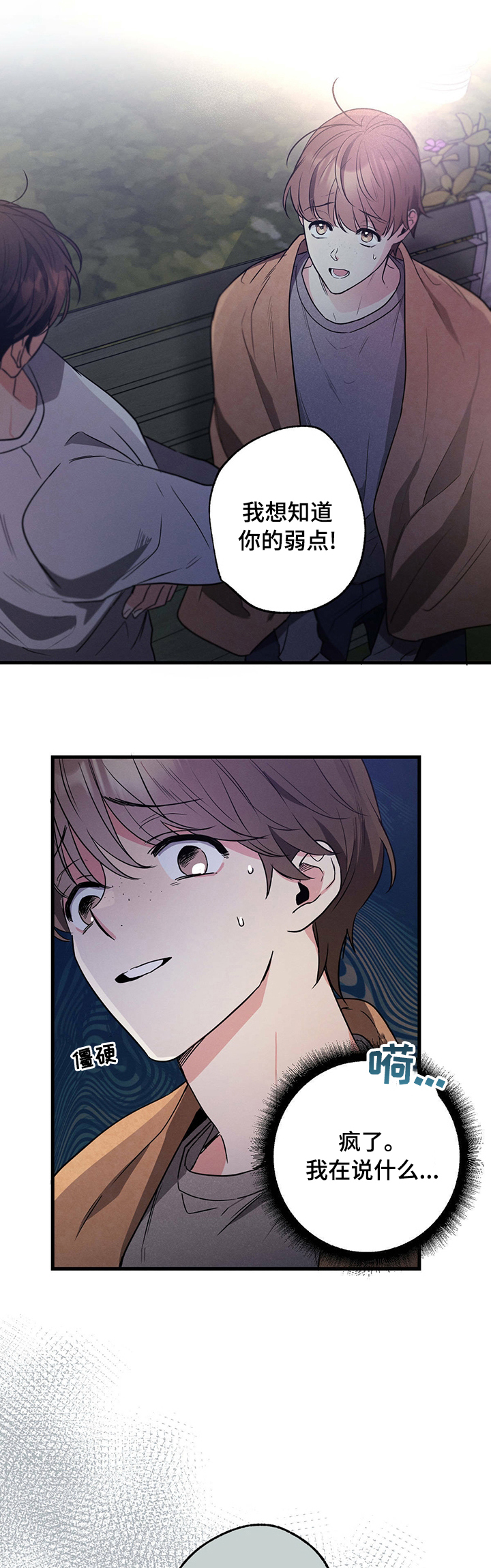 第40章：弱点2