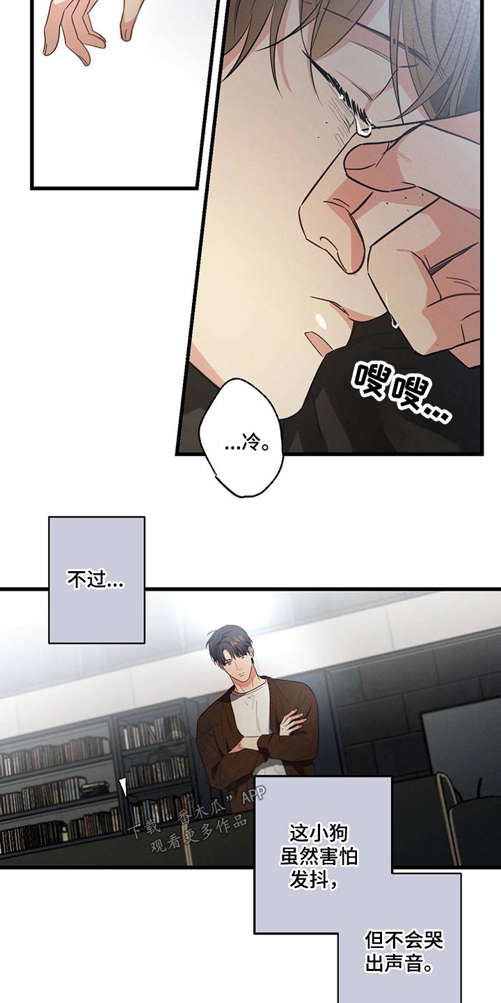 第77章：责任14