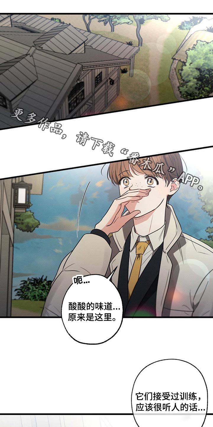 第83章：悲伤0