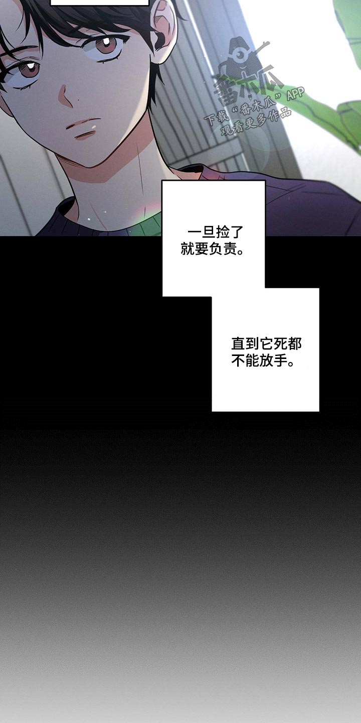 第77章：责任9