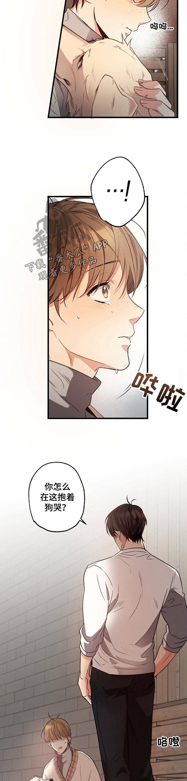 第38章：抱着狗哭10
